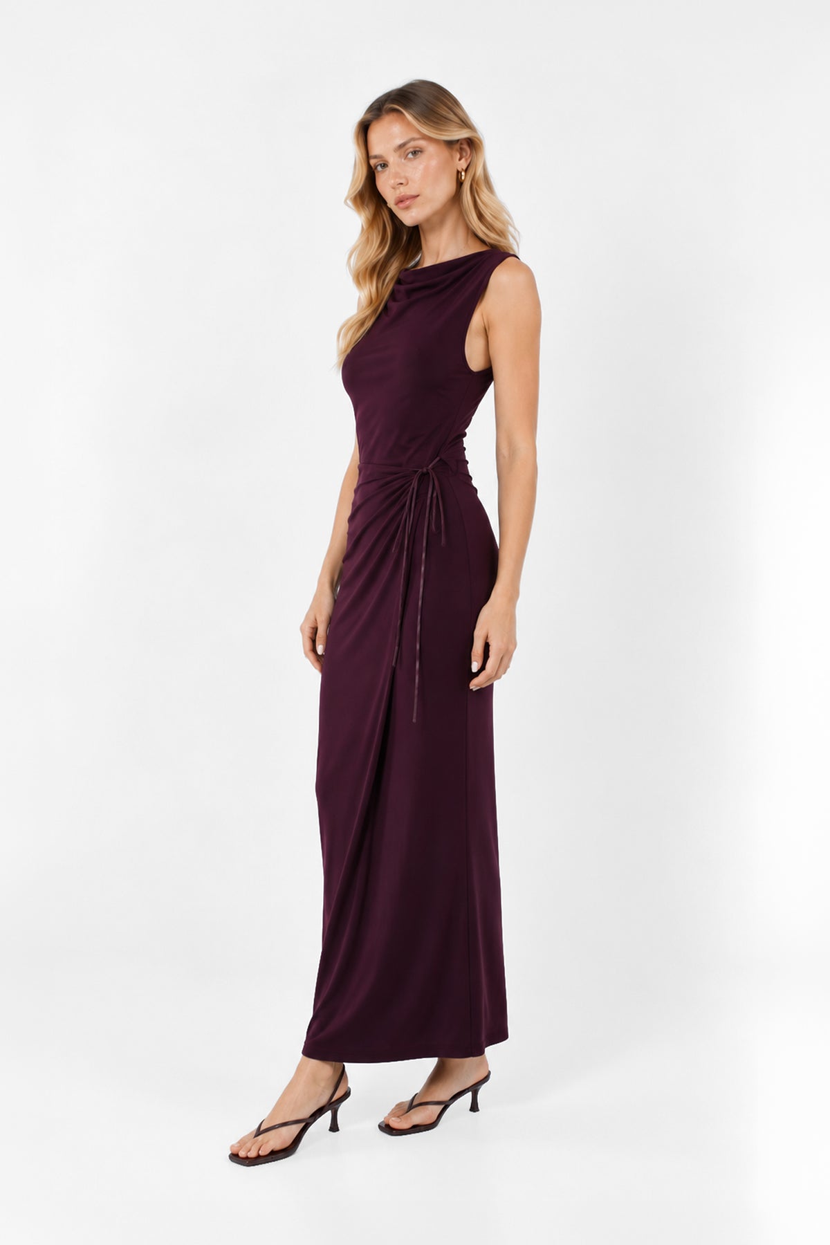 Evelina Maxi Dress | Plum